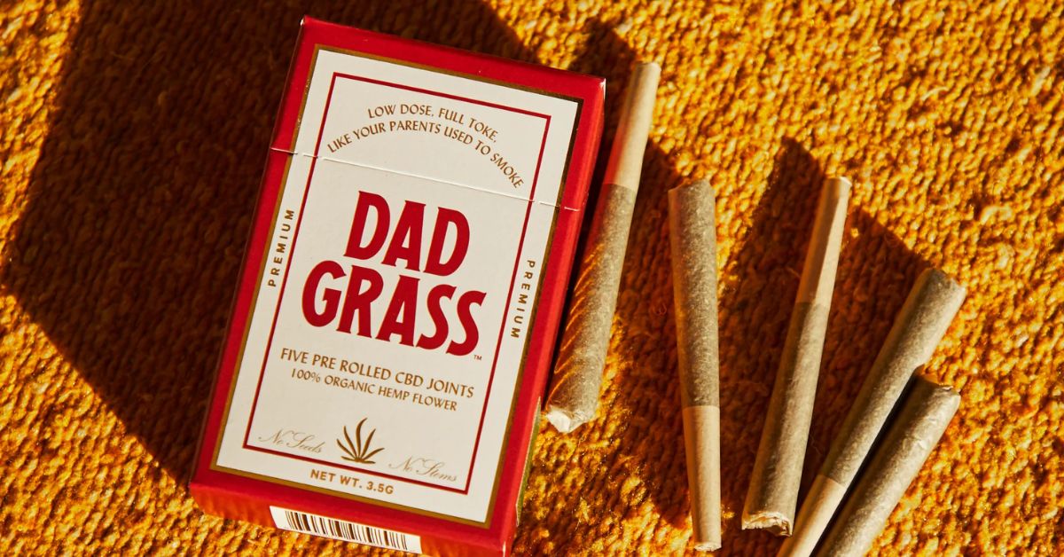 Dad Grass Review: Why is it so Famous?
