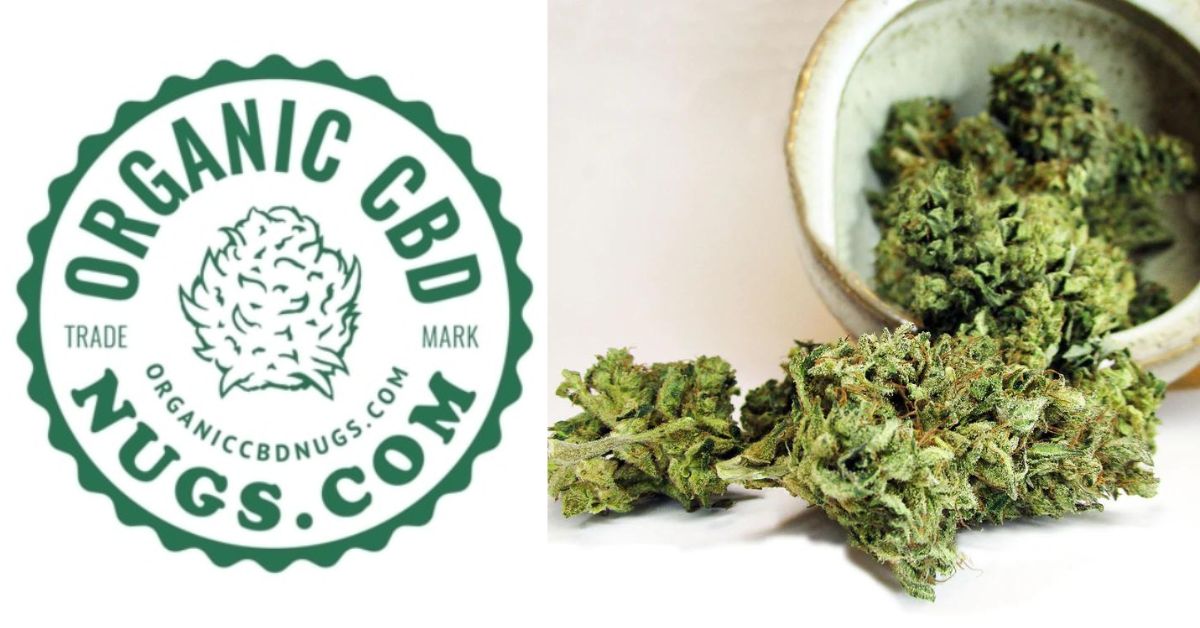 Organic CBD Nugs: Latest Expert Review (Hemp Flower)