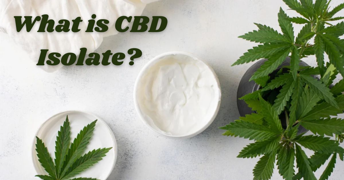 What is CBD Isolate? Top 5 CBD Isolate Products